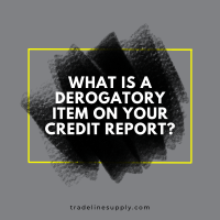What Is a Derogatory Item on Your Credit Report?