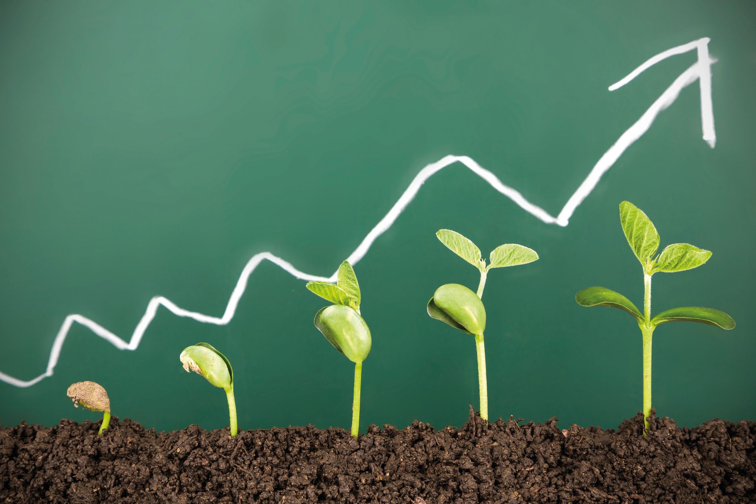 News Analysis – ‘Radical rethink needed’ on green mortgages – Mortgage Strategy
