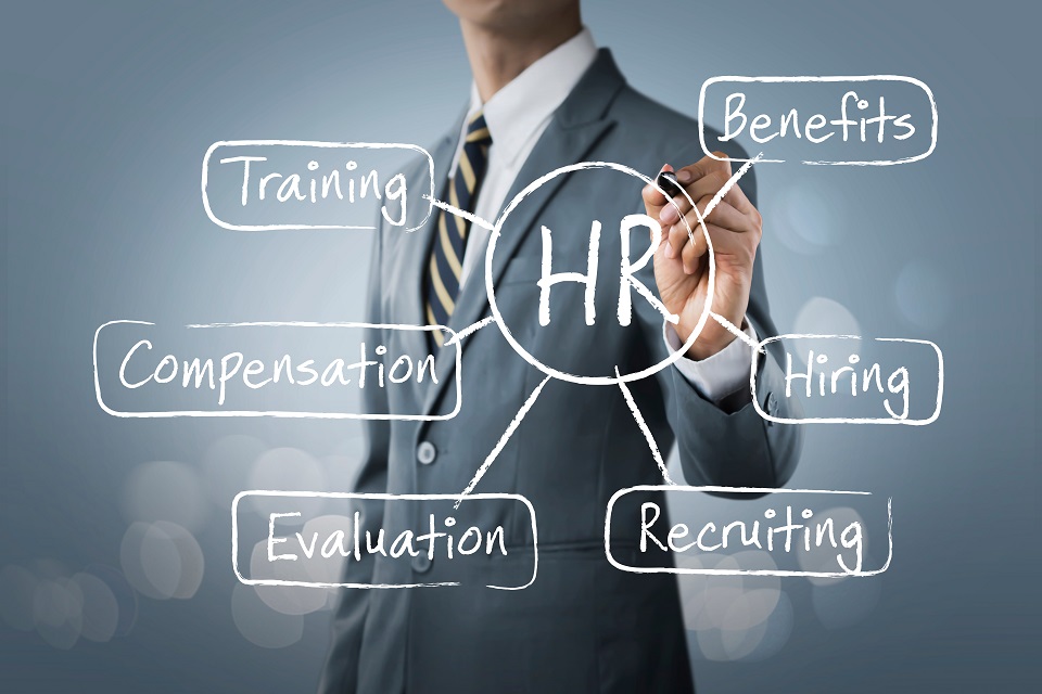 7 HR software tools ideal for small business